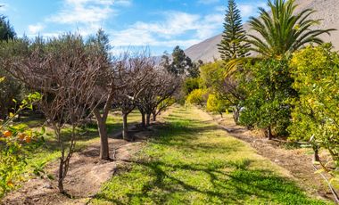 Venta de hermosa Parcela con 2 casas, piscina y quincho, Vicuña. 11.000 UF
