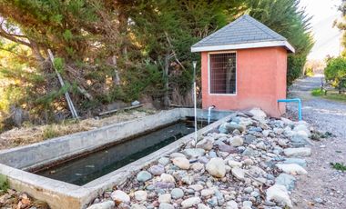 Venta de hermosa Parcela con 2 casas, piscina y quincho, Vicuña. 11.000 UF
