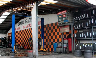 Bodega / Galpón - Comercial en Venta