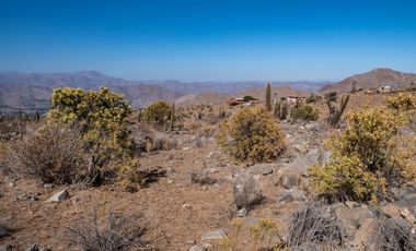 Venta de terreno cercano al observatorio Mamalluca (Vicuña), 10.500 m2, Valle del Elqui. $75 millones