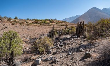 Venta de terreno cercano al observatorio Mamalluca (Vicuña), 10.500 m2, Valle del Elqui. $75 millones