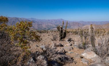 Venta de terreno cercano al observatorio Mamalluca (Vicuña), 10.500 m2, Valle del Elqui. $75 millones