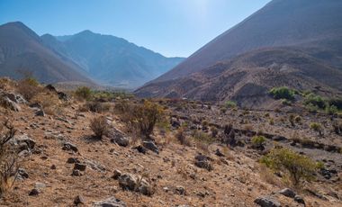 Venta de terreno cercano al observatorio Mamalluca (Vicuña), 10.500 m2, Valle del Elqui. $75 millones