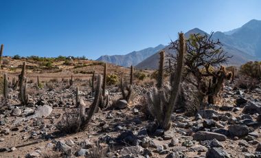 Venta de terreno cercano al observatorio Mamalluca (Vicuña), 10.500 m2, Valle del Elqui. $75 millones