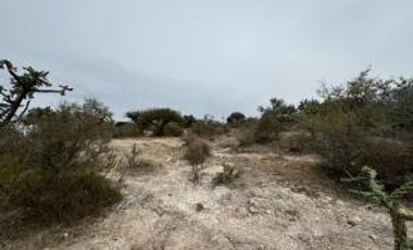 Tianguistengo, Hidalgo - Terreno comercial y residencial de 64 mil metros. VENTA