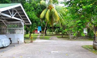 5 Bedroom House for Sale with Big Lawn in Dumaguete City