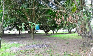5 Bedroom House for Sale with Big Lawn in Dumaguete City