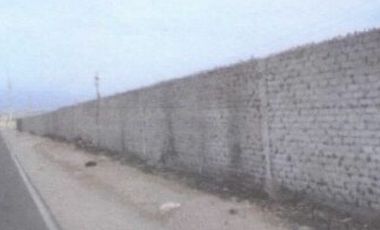 Terreno en Quilmaná, Cañete de 10 Has