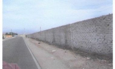 Terreno en Quilmaná, Cañete de 10 Has