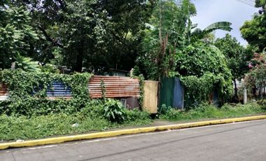 312 sqm Lot for Sale in Bonifacio Village, Quezon City, accessible via Congressional Avenue