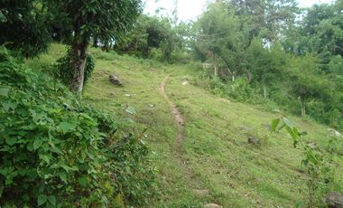 MOUNTAIN VIEW LOT FOR INSTALLMENT IN BABAG CEBU CITY NEAR JY MALL