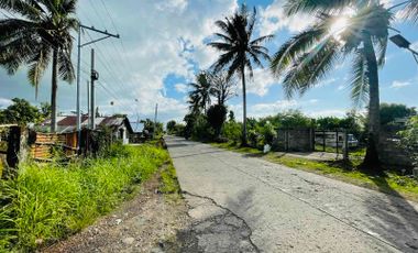 5-hectare lot near Naga Airport and Camarines Sur Capitol Complex