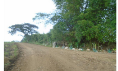 Lot 4, (Salvador Poultry) Barangay Tuguis, Hinigaran City, Negros Occidental