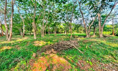 VENTA DE LOTE EN EL SECTOR DE PALMA VERDE EN MONTERÍA