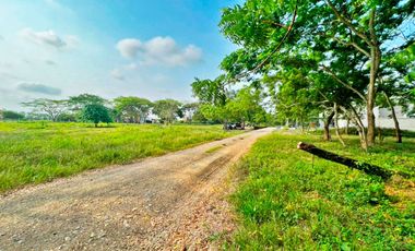 VENTA DE LOTE EN EL SECTOR DE PALMA VERDE EN MONTERÍA