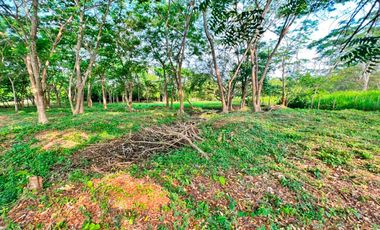 VENTA DE LOTE EN EL SECTOR DE PALMA VERDE EN MONTERÍA