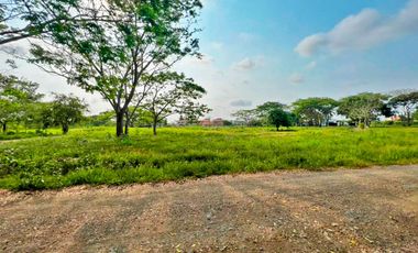 VENTA DE LOTE EN EL SECTOR DE PALMA VERDE EN MONTERÍA