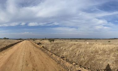 Parcela plana a 2 horas de santiago en la sexta región !!!