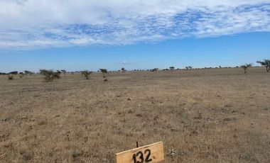 Parcela plana a 2 horas de santiago en la sexta región !!!