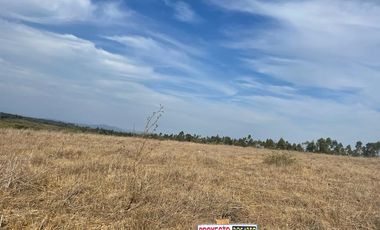 Parcela plana a 2 horas de santiago en la sexta región !!!