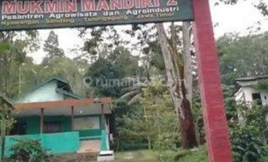 DIJUAL Lahan kering, di daerah sejuk Tulung agung