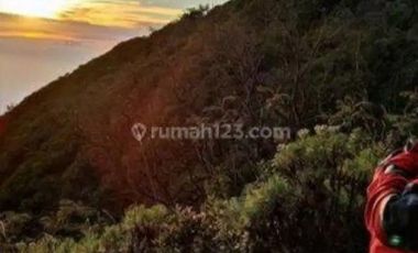 DIJUAL Lahan kering, di daerah sejuk Tulung agung