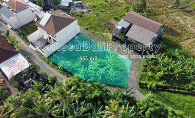 Land sale 443m² in tumbak Bayuh Pererenan canggu