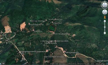 For Sale: Agricultural Lot in Coron, Palawan, P238M