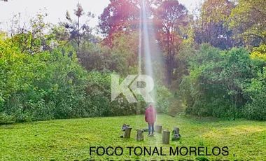 RANCHO CON PUNTO DE ENERGÍA CÓSMICA, 9 CABAÑAS Y RESTAURANTE IDEAL PARA INVERSIONISTAS
