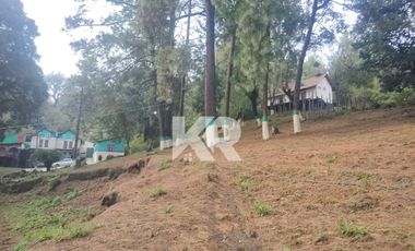 RANCHO CON PUNTO DE ENERGÍA CÓSMICA, 9 CABAÑAS Y RESTAURANTE IDEAL PARA INVERSIONISTAS