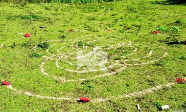 RANCHO CON PUNTO DE ENERGÍA CÓSMICA, 9 CABAÑAS Y RESTAURANTE IDEAL PARA INVERSIONISTAS