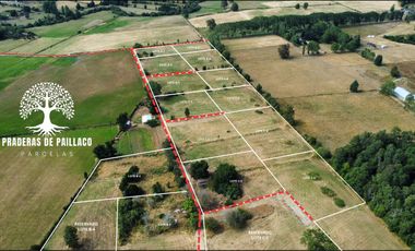 Proyecto de Parcelación “Praderas de Paillaco”, Ruta T-206 Valdivia, Región de Los Ríos.