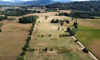 Proyecto de Parcelación “Praderas de Paillaco”, Ruta T-206 Valdivia, Región de Los Ríos.