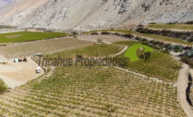 Terreno de 3.9 ha., en Paihuano, con electricidad, agua potable y de riego. Valle del Elqui. $230 millones