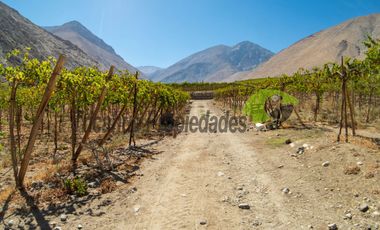 Terreno de 3.9 ha., en Paihuano, con electricidad, agua potable y de riego. Valle del Elqui. $230 millones