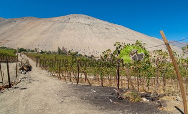 Terreno de 3.9 ha., en Paihuano, con electricidad, agua potable y de riego. Valle del Elqui. $230 millones