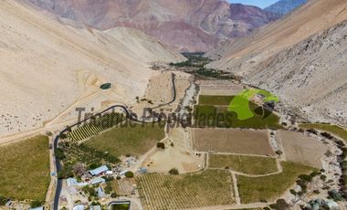 Terreno de 3.9 ha., en Paihuano, con electricidad, agua potable y de riego. Valle del Elqui. $230 millones