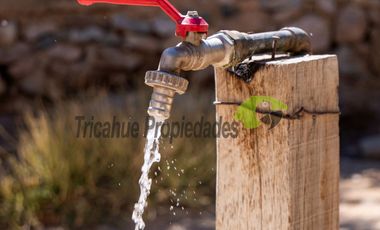 Terreno de 3.9 ha., en Paihuano, con electricidad, agua potable y de riego. Valle del Elqui. $230 millones