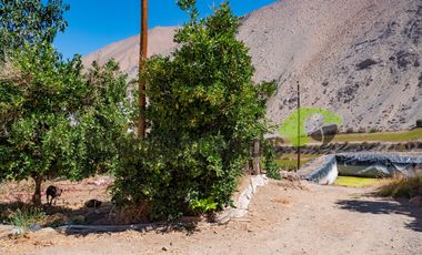 Terreno de 3.9 ha., en Paihuano, con electricidad, agua potable y de riego. Valle del Elqui. $230 millones