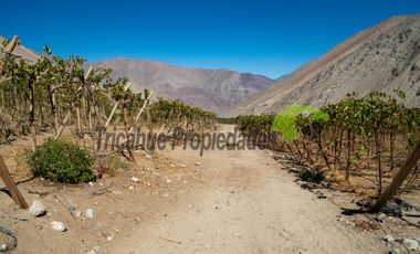 Terreno de 3.9 ha., en Paihuano, con electricidad, agua potable y de riego. Valle del Elqui. $230 millones