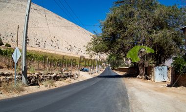Terreno de 3.9 ha., en Paihuano, con electricidad, agua potable y de riego. Valle del Elqui. $230 millones