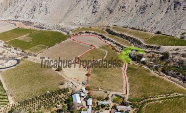 Terreno de 3.9 ha., en Paihuano, con electricidad, agua potable y de riego. Valle del Elqui. $230 millones