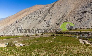 Terreno de 3.9 ha., en Paihuano, con electricidad, agua potable y de riego. Valle del Elqui. $230 millones