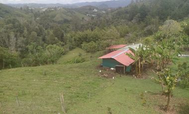 FINCA ASEQUIBLE PLANA E INCLINADA EN EL PEÑOL ANTIOQUIA COLOMBIA.