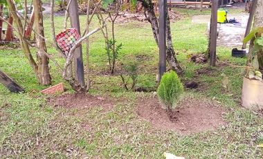 FINCA ASEQUIBLE PLANA E INCLINADA EN EL PEÑOL ANTIOQUIA COLOMBIA.