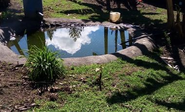 FINCA ASEQUIBLE PLANA E INCLINADA EN EL PEÑOL ANTIOQUIA COLOMBIA.