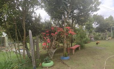 FINCA ASEQUIBLE PLANA E INCLINADA EN EL PEÑOL ANTIOQUIA COLOMBIA.