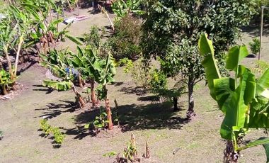 FINCA ASEQUIBLE PLANA E INCLINADA EN EL PEÑOL ANTIOQUIA COLOMBIA.