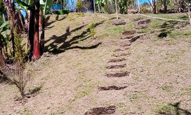 FINCA ASEQUIBLE PLANA E INCLINADA EN EL PEÑOL ANTIOQUIA COLOMBIA.