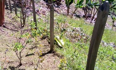 FINCA ASEQUIBLE PLANA E INCLINADA EN EL PEÑOL ANTIOQUIA COLOMBIA.